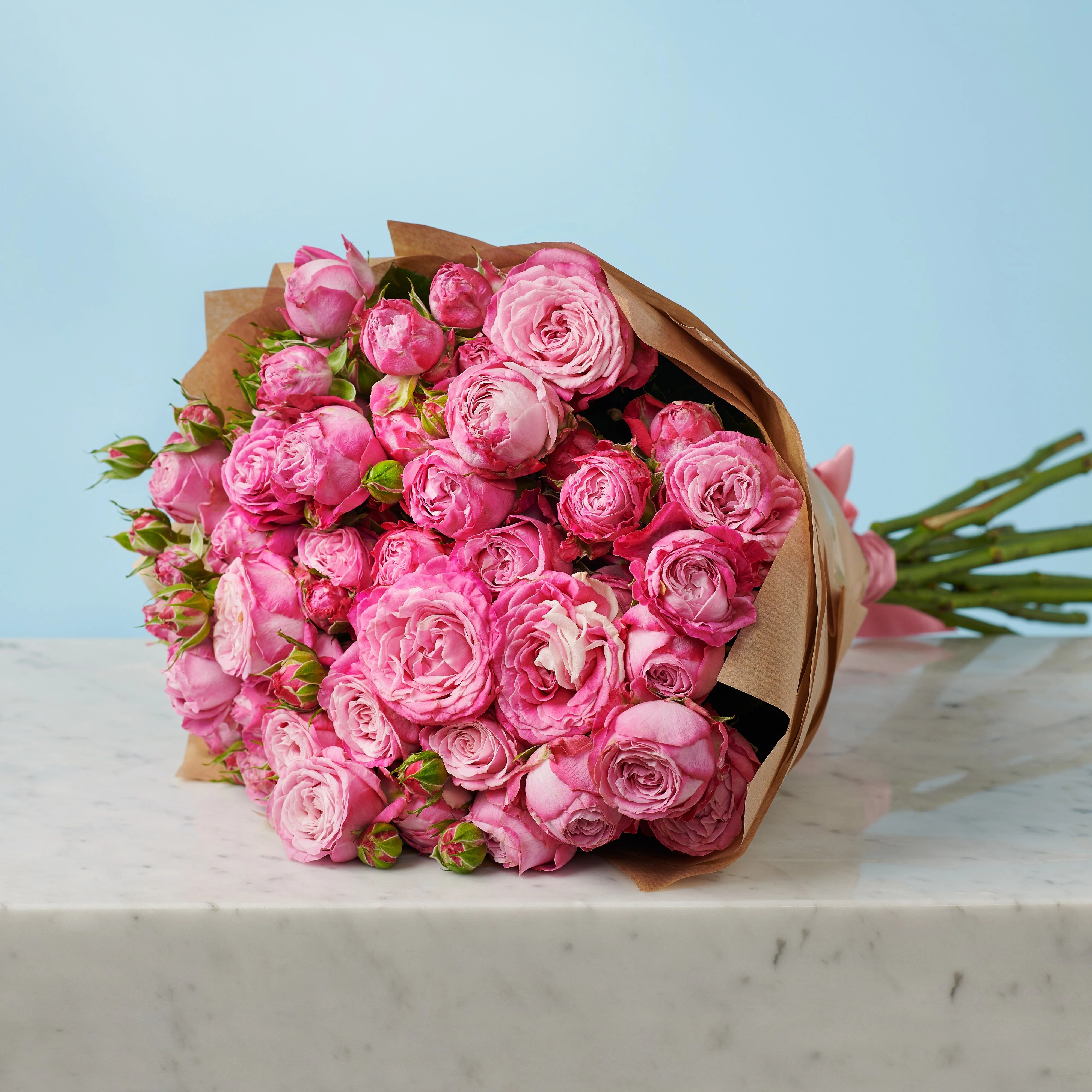 10 Peony Pink Roses - Image 3