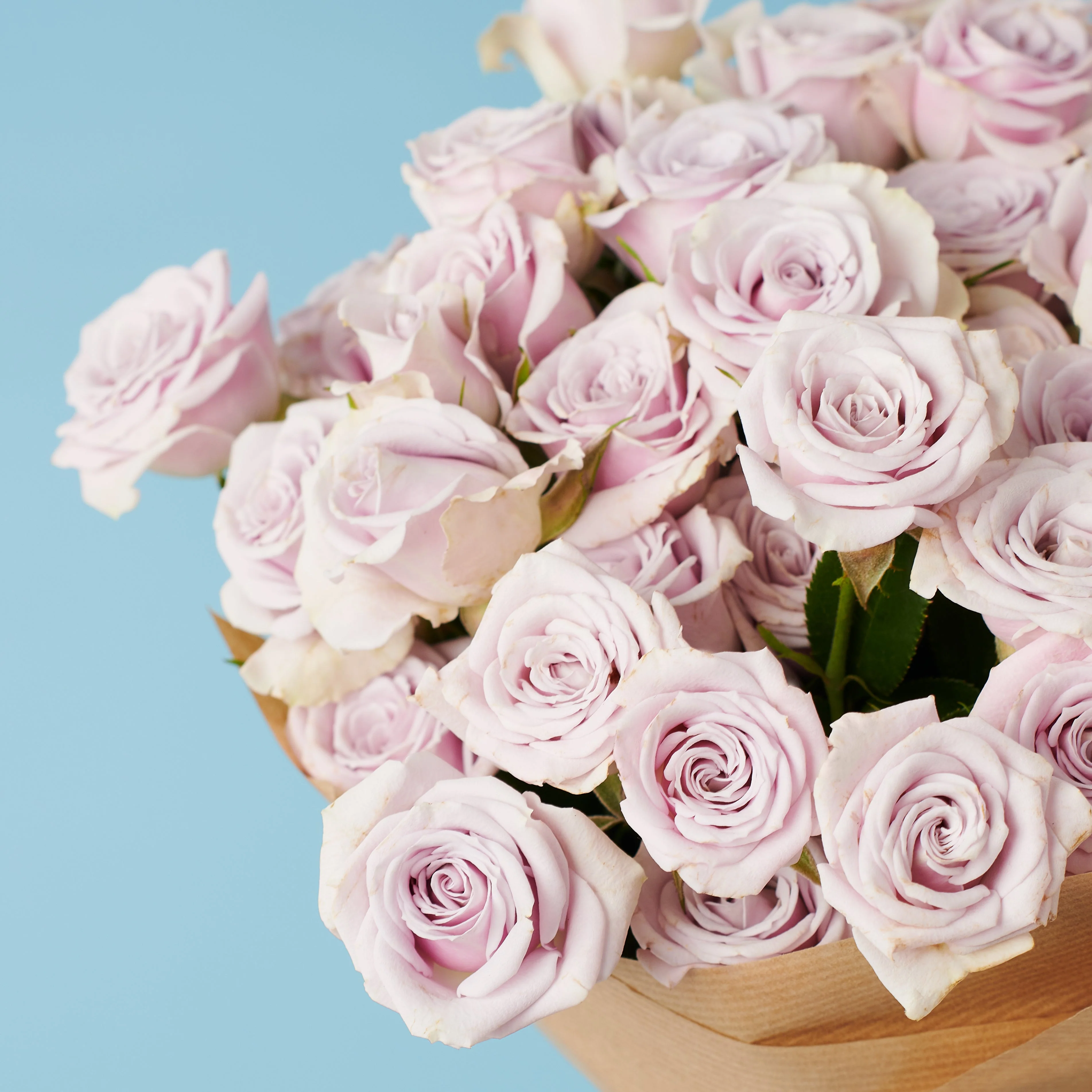 10 Spray Purple Roses - Image 3