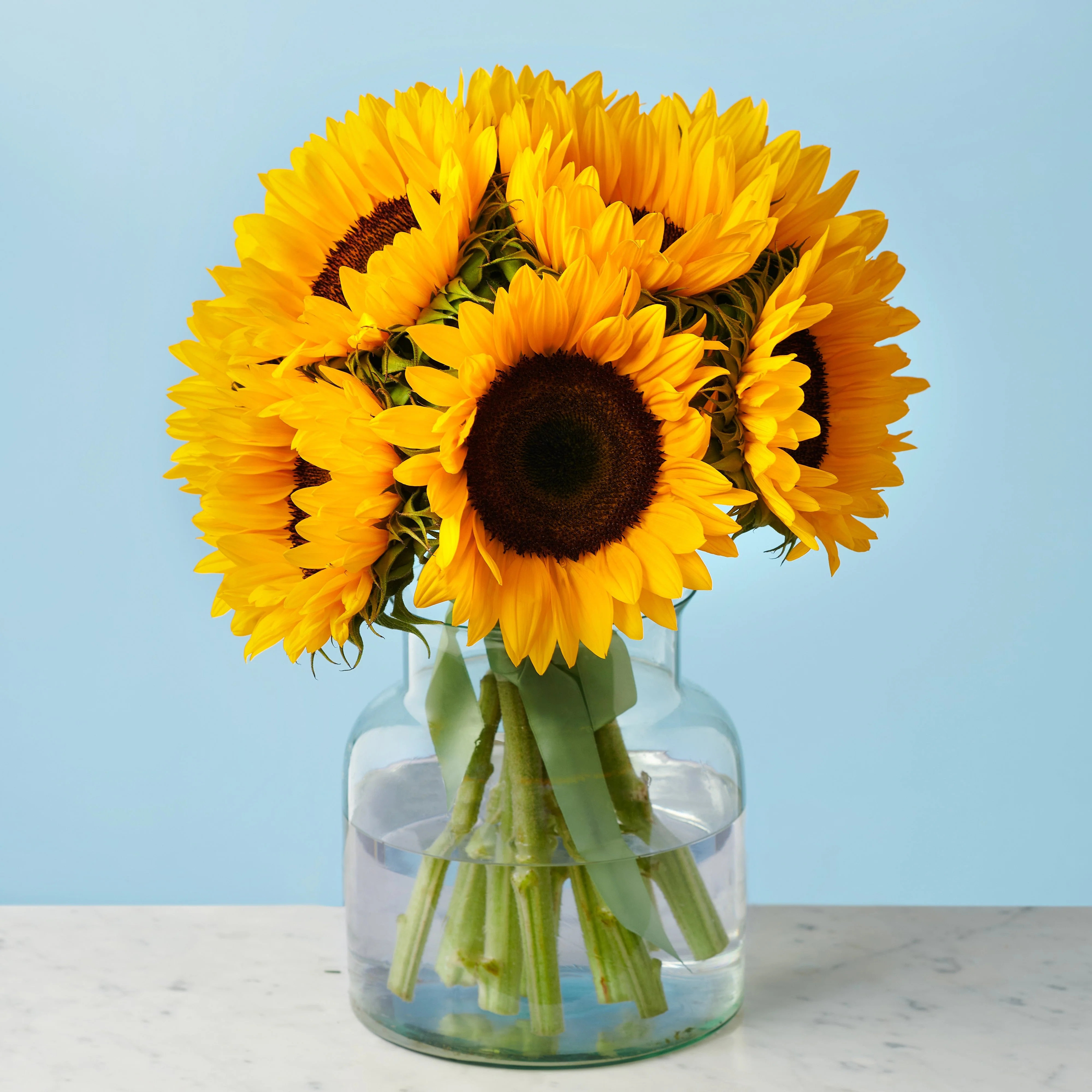 10 Sunflowers - Image 2