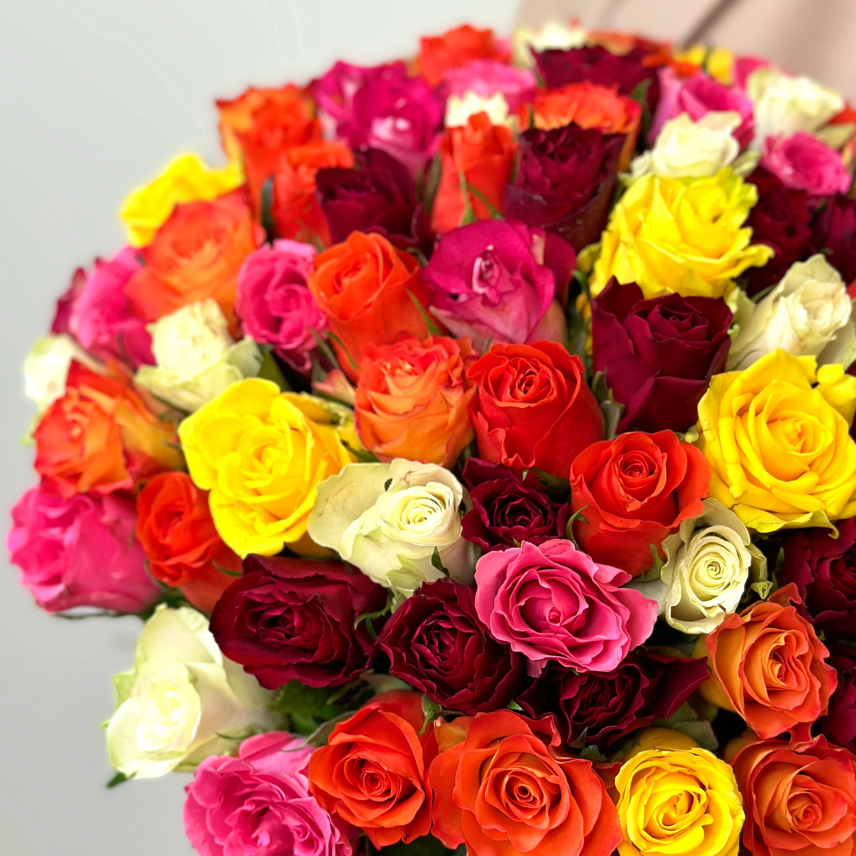 100 Mixed Roses 35cm - Image 3