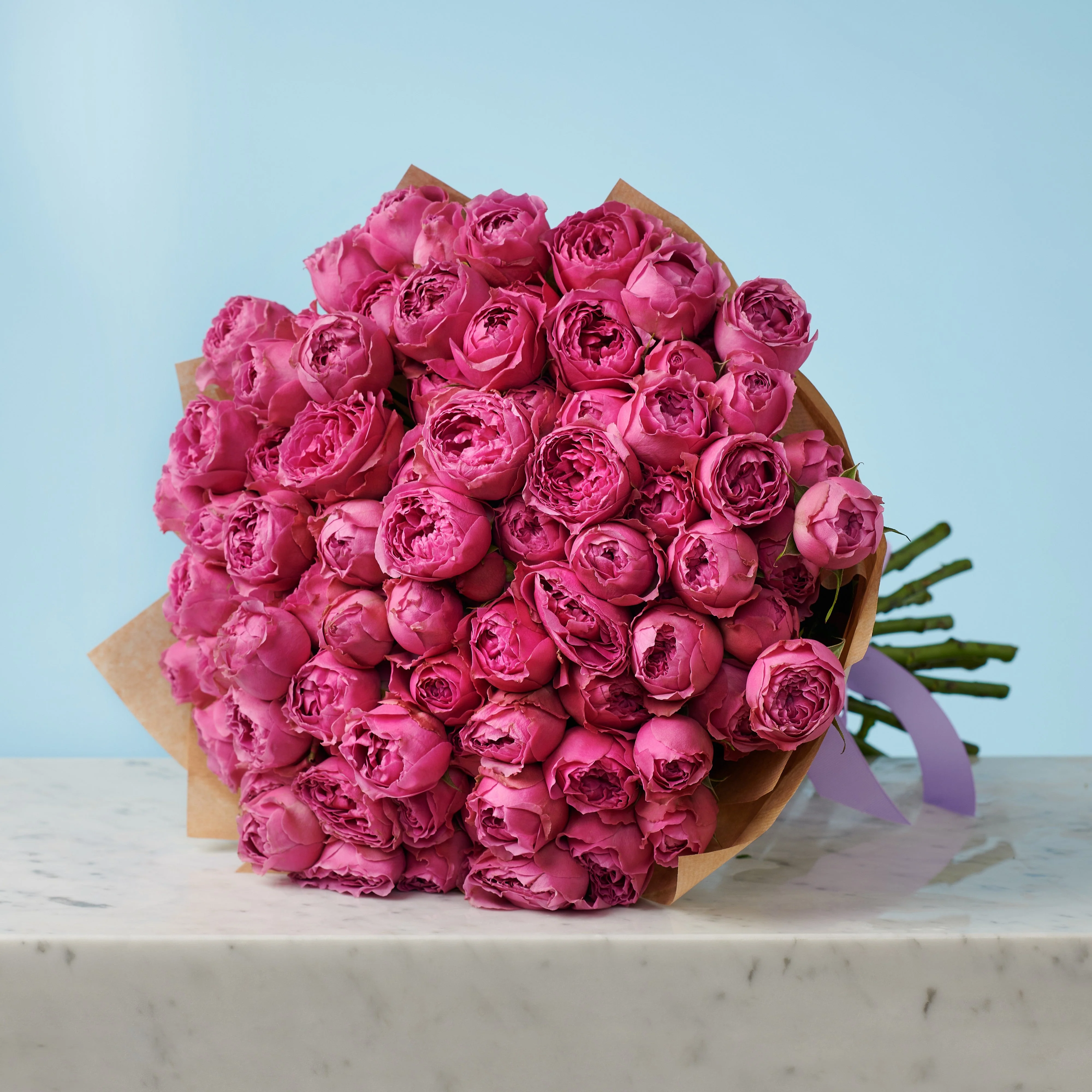 20 Peony Pink Roses - Image 4