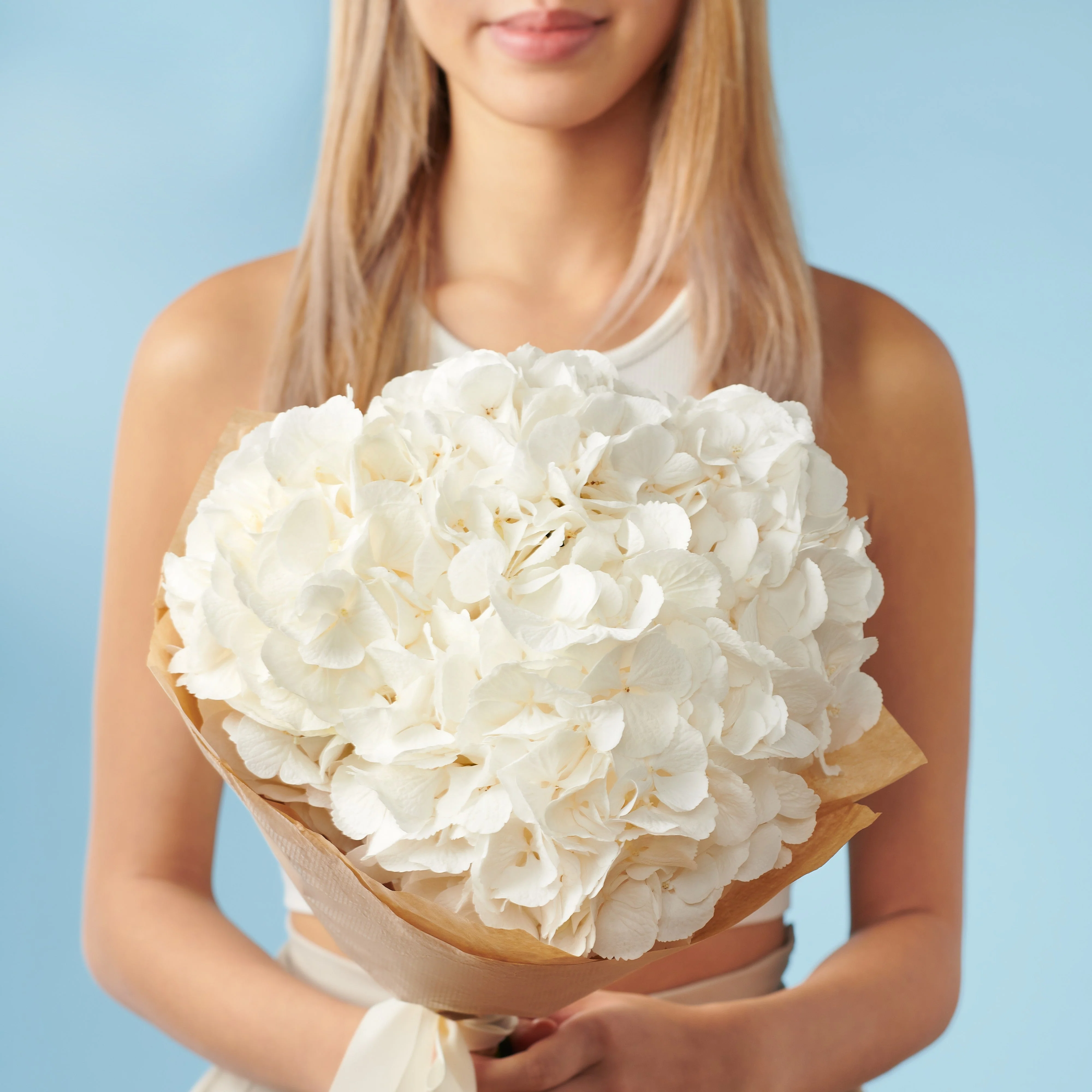 3 White Hydrangeas