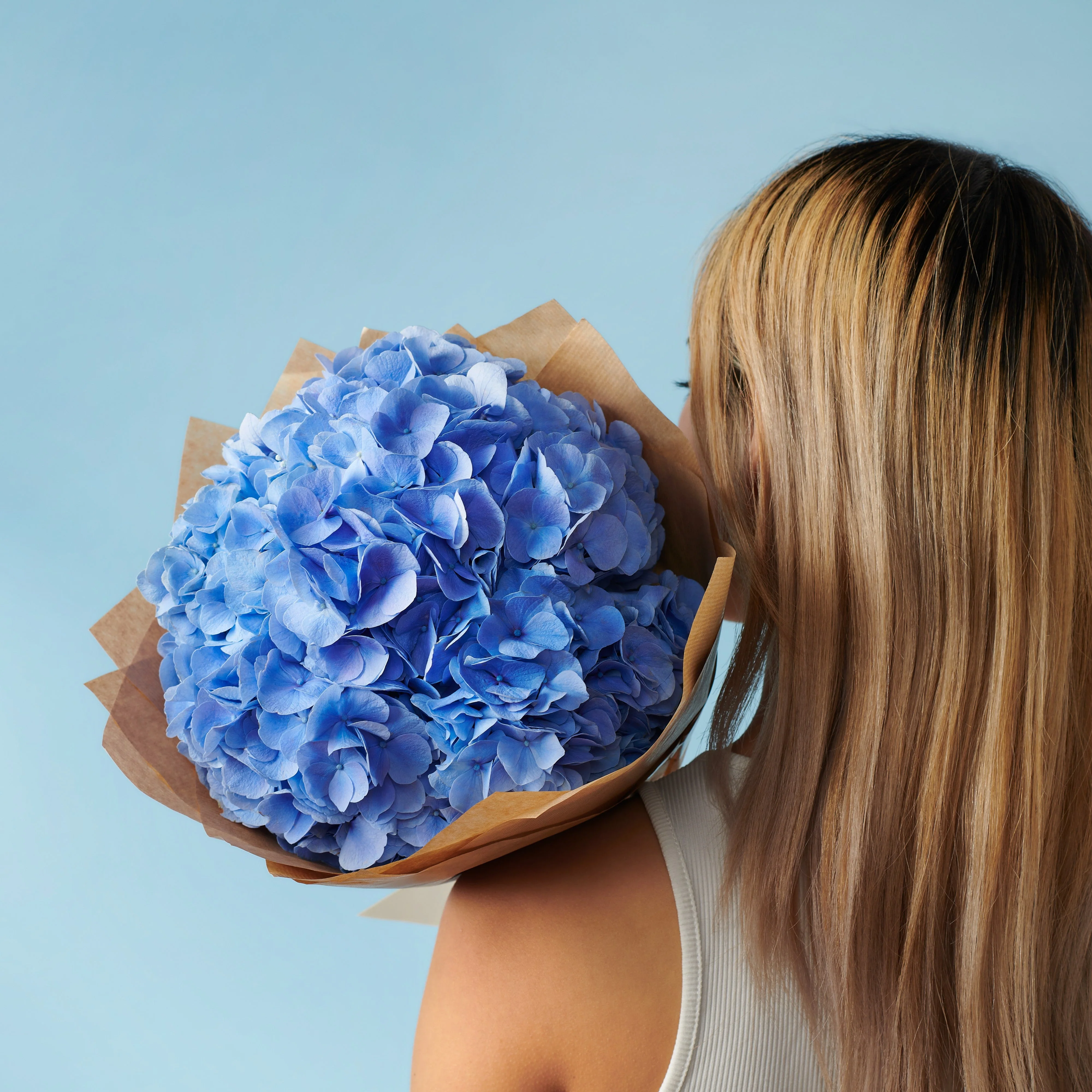 5 Blue Hydrangeas - Image 4