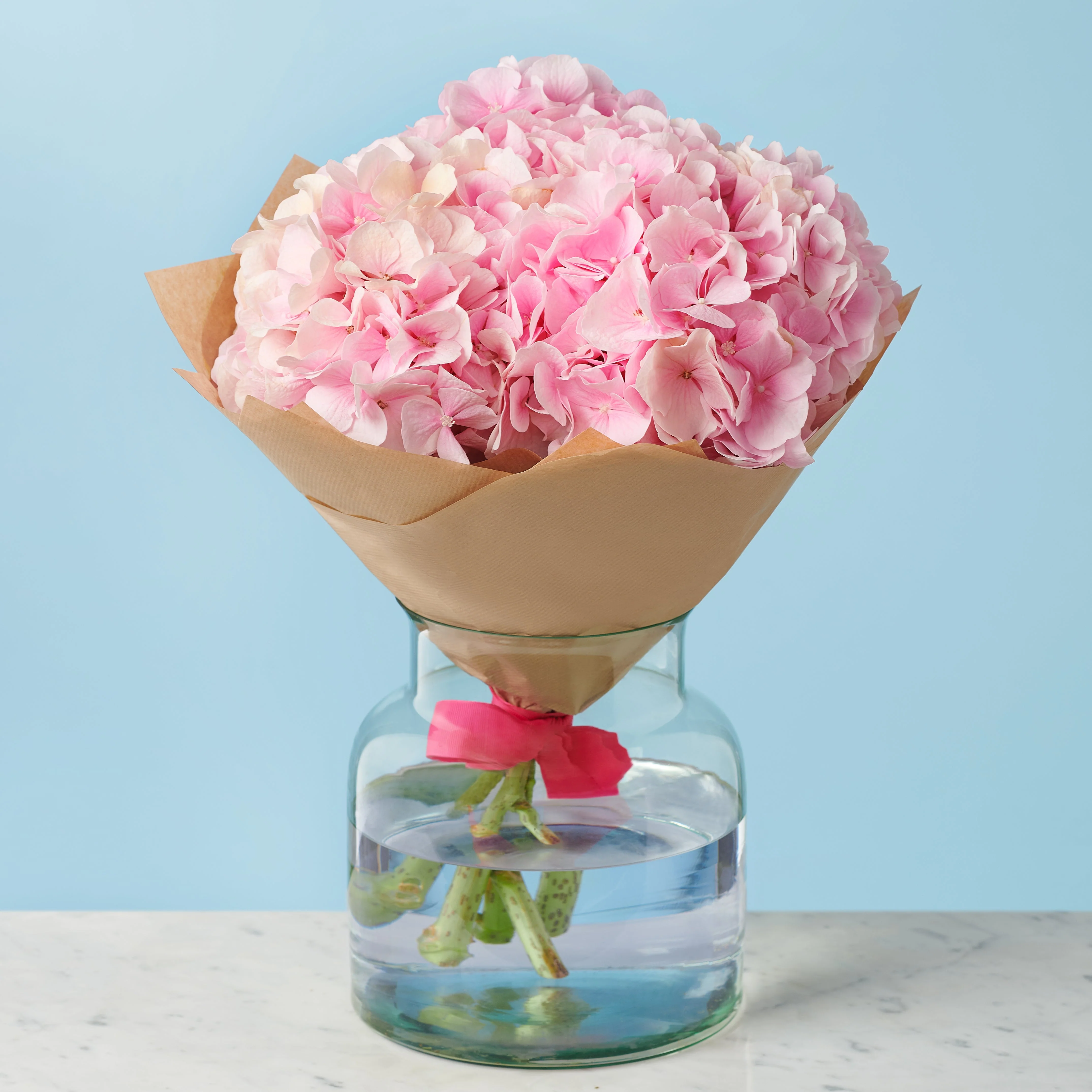 5 Pink Hydrangeas - Image 2