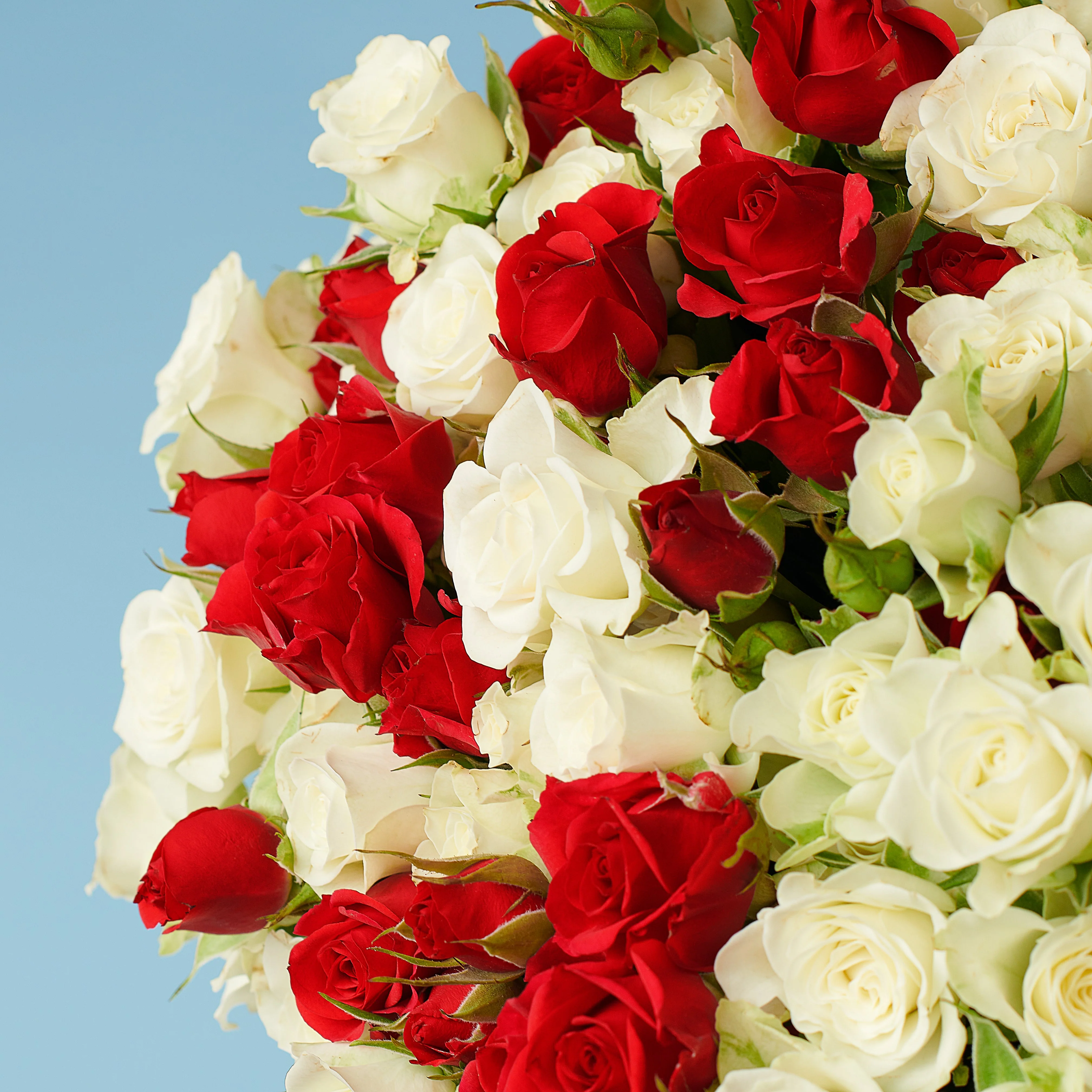 Beautiful Contrast Bouquet - Image 2