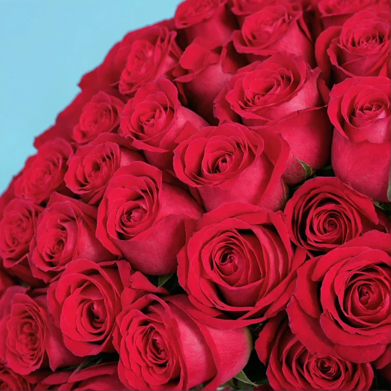Bouquet of roses - Image 105