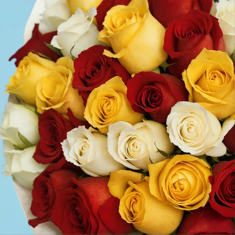 Bouquet of roses - Image 122