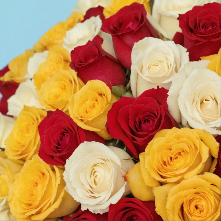Bouquet of roses - Image 128