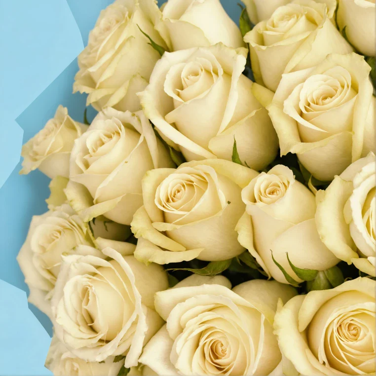 Bouquet of roses - Image 134