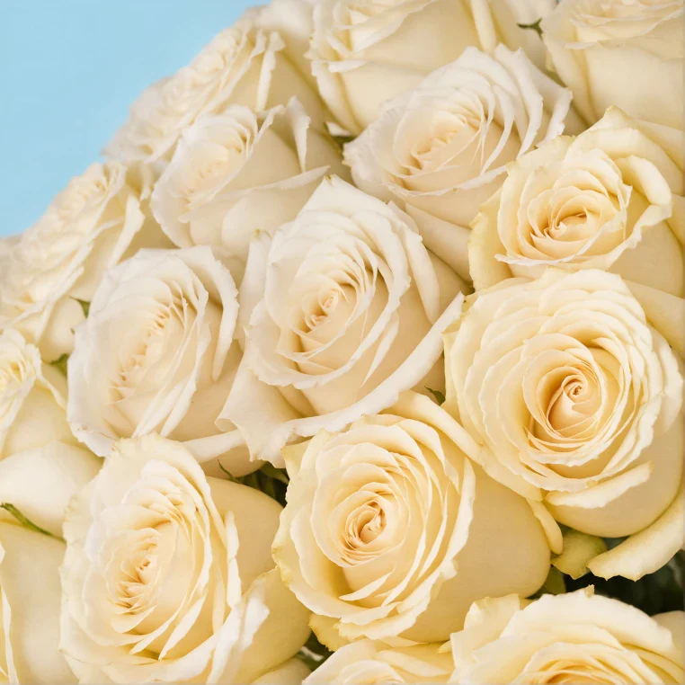 Bouquet of roses - Image 141