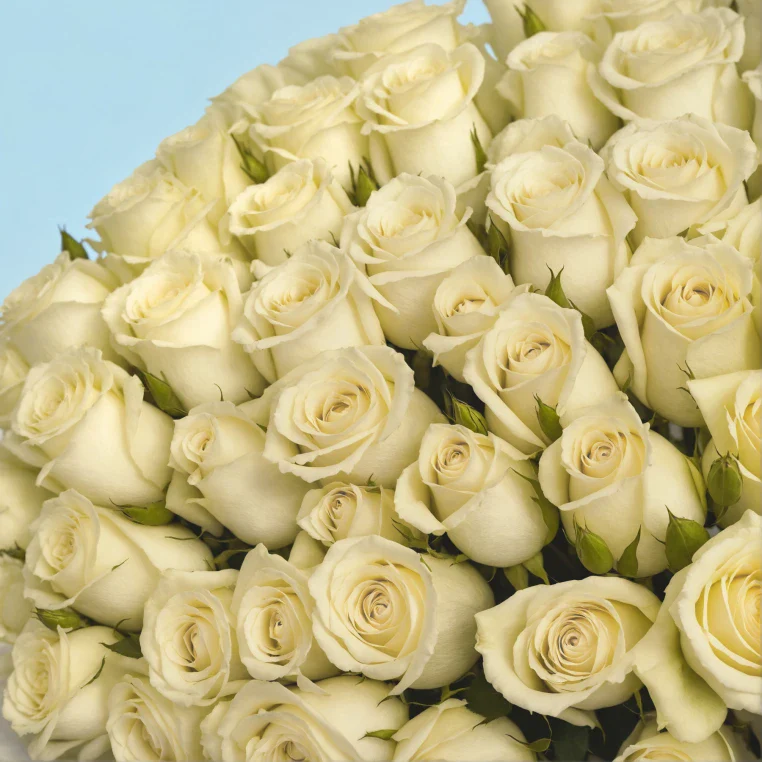 Bouquet of roses - Image 148