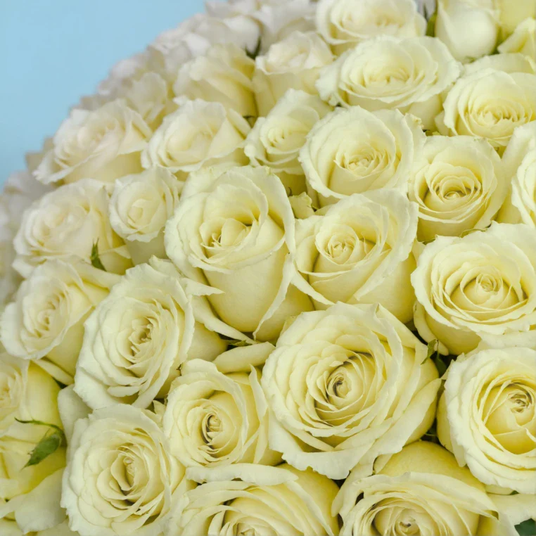 Bouquet of roses - Image 153
