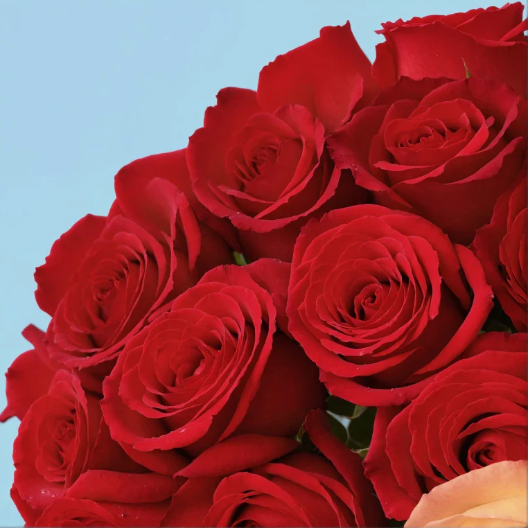 Bouquet of roses - Image 154
