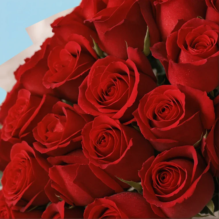 Bouquet of roses - Image 163