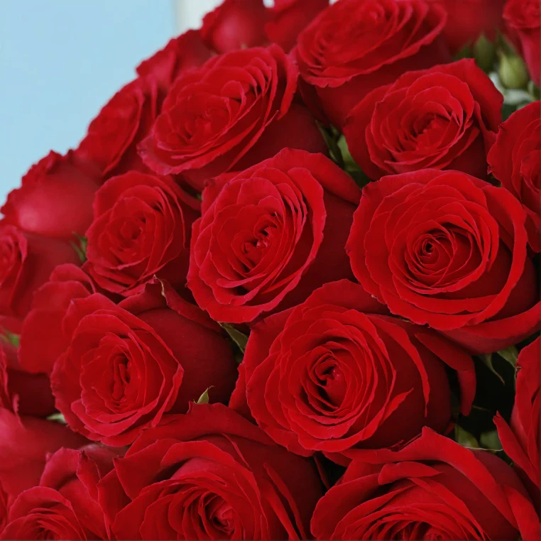 Bouquet of roses - Image 166