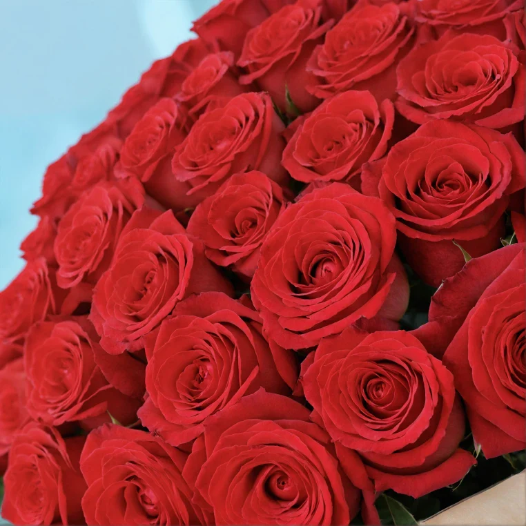 Bouquet of roses - Image 169