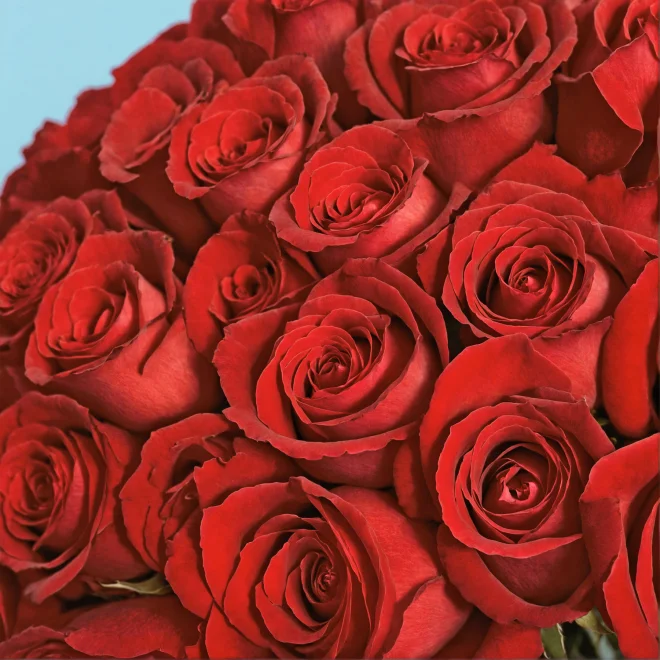 Bouquet of roses - Image 174