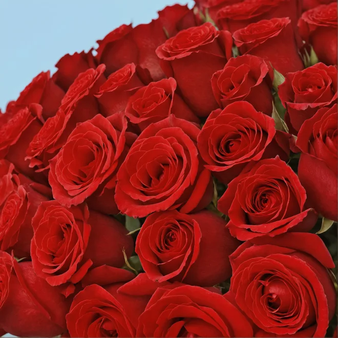 Bouquet of roses - Image 177