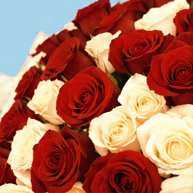 Bouquet of roses - Image 179