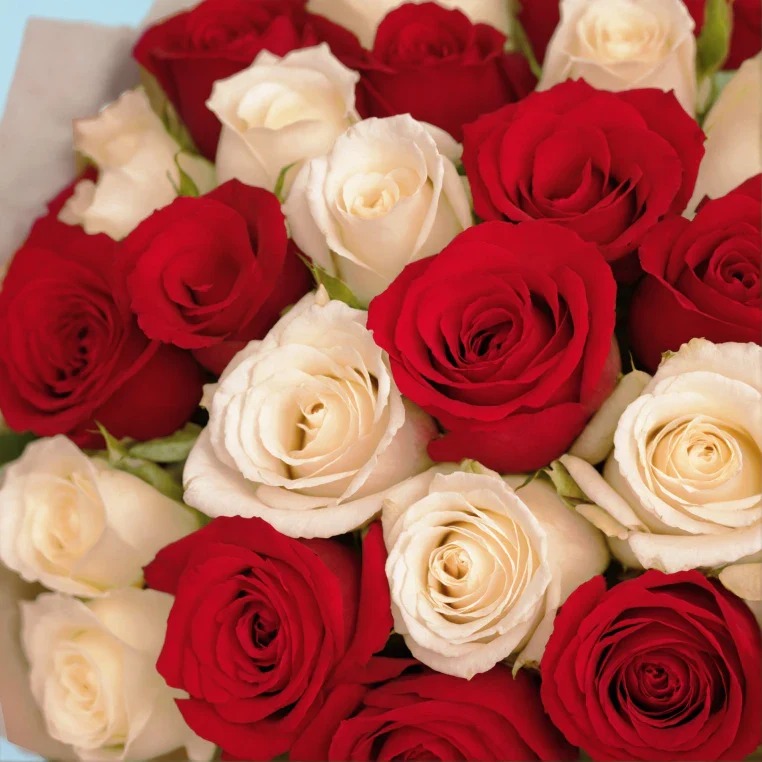 Bouquet of roses - Image 181