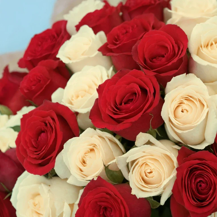 Bouquet of roses - Image 184