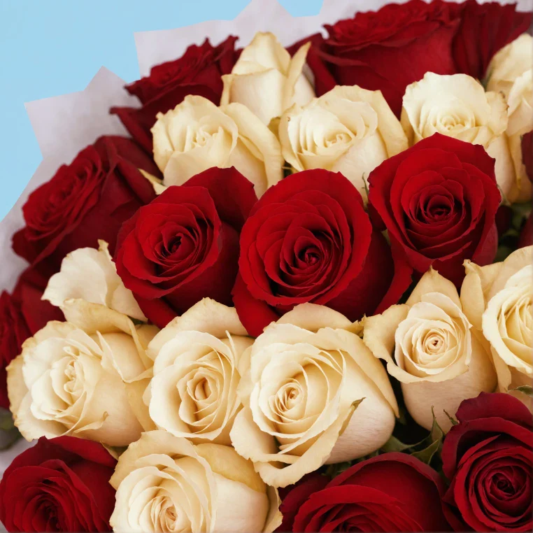 Bouquet of roses - Image 189
