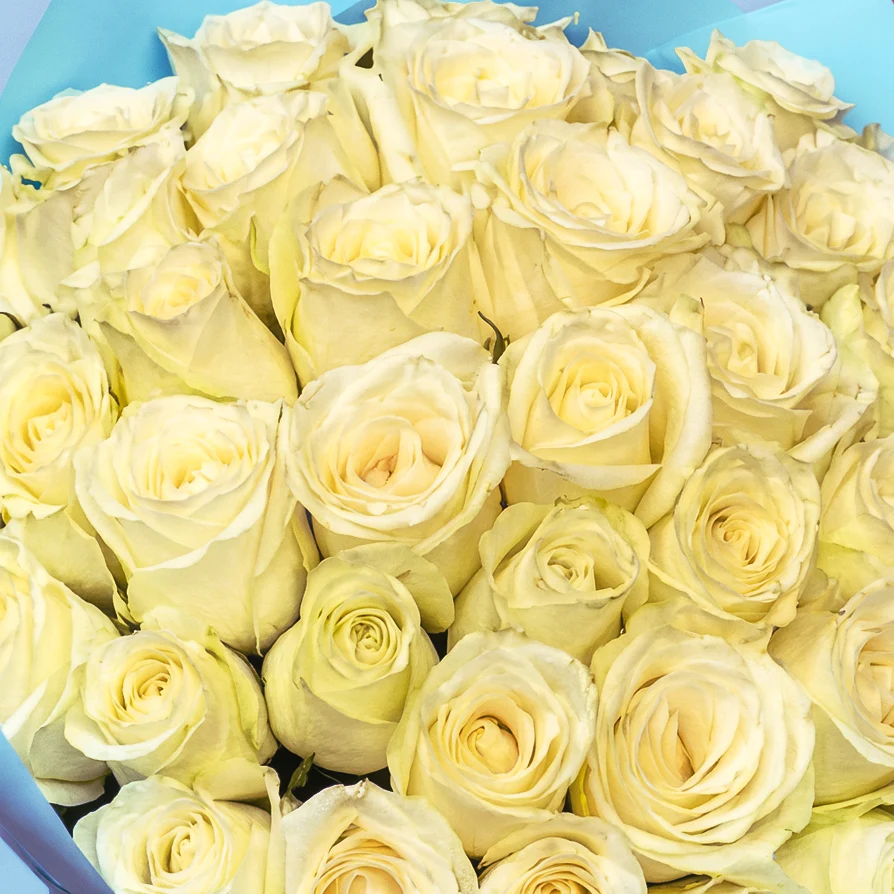 Bouquet of roses - Image 212