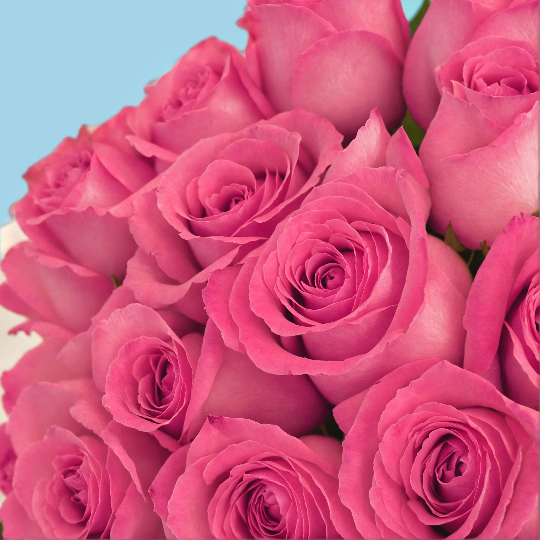 Subscription Bouquets - Image 4