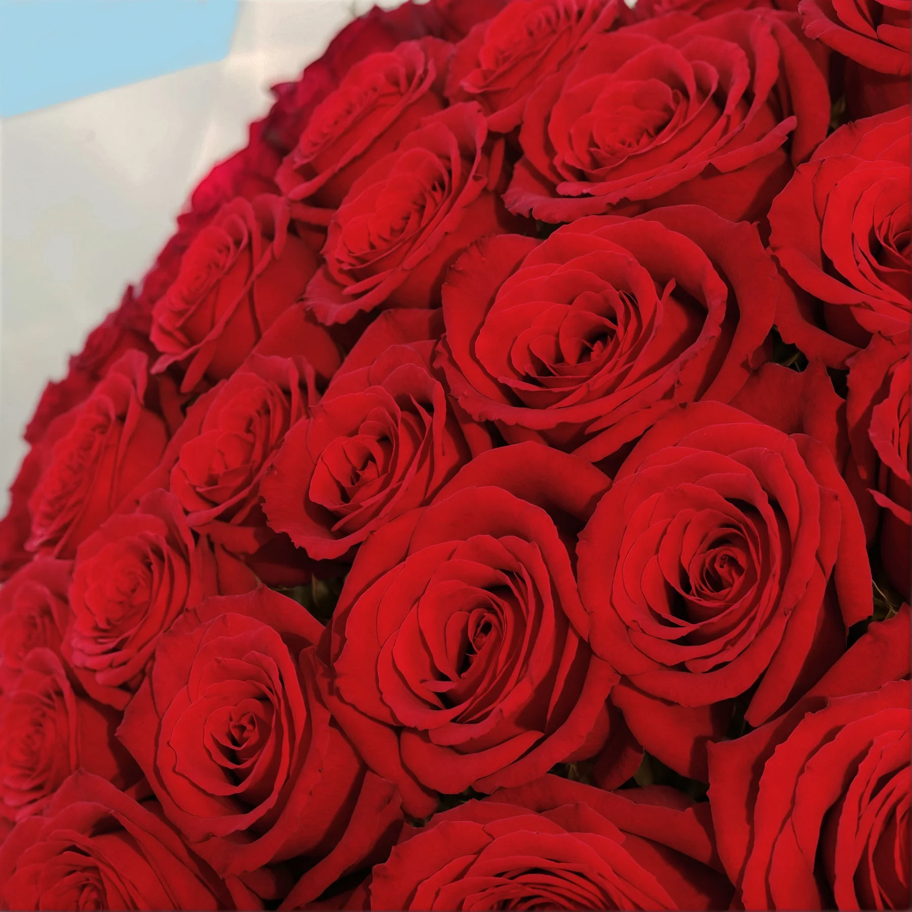 Subscription Bouquets - Image 51