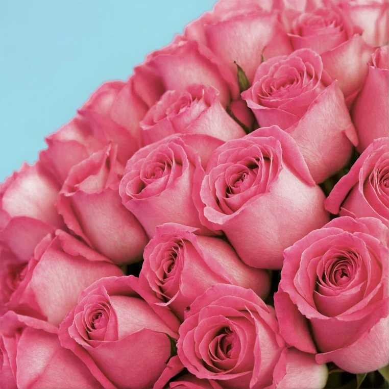 Bouquet of roses - Image 71