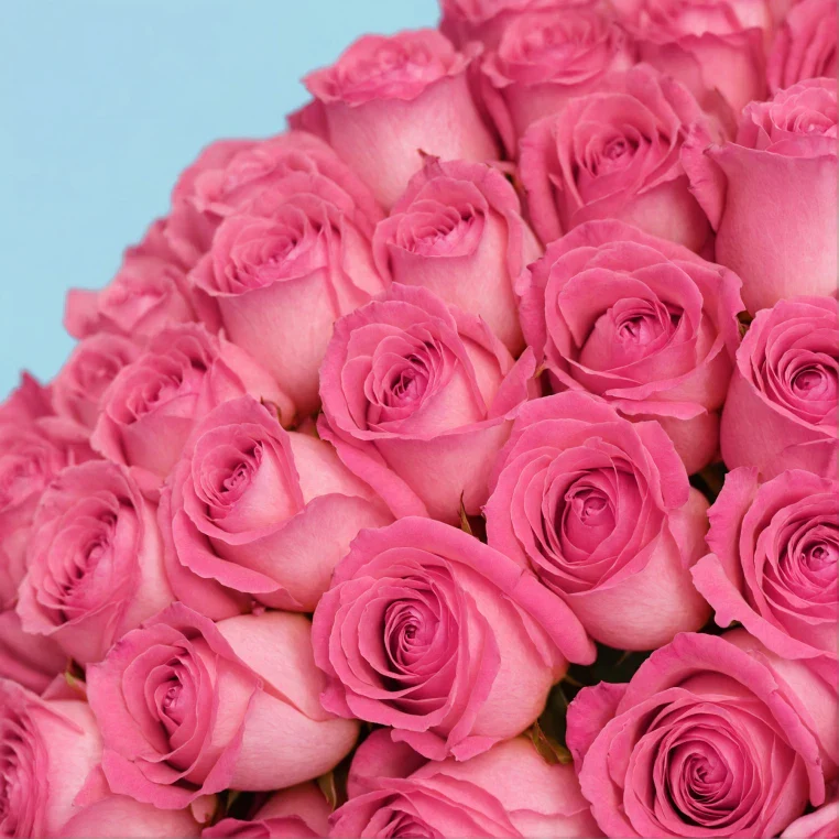 Bouquet of roses - Image 76