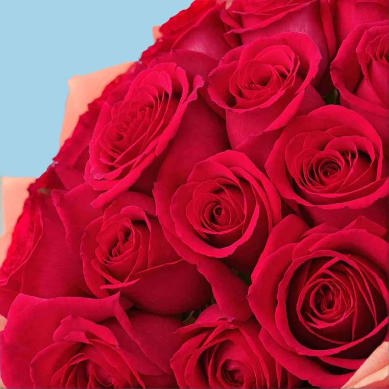 Bouquet of roses - Image 90