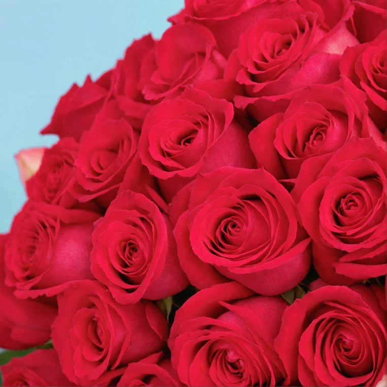 Bouquet of roses - Image 93