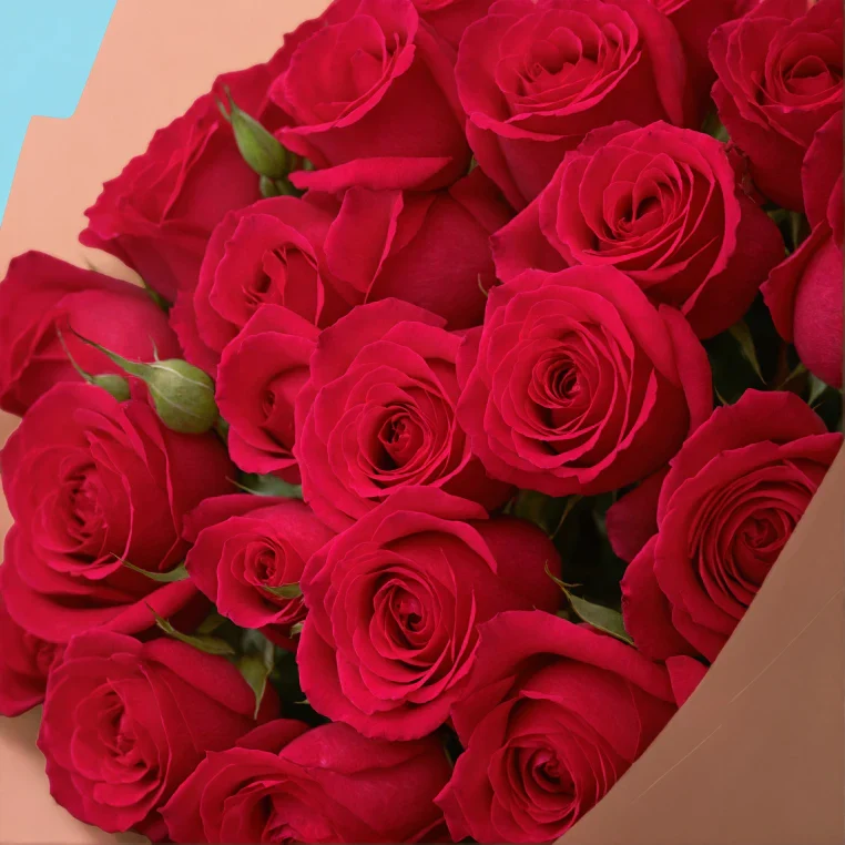 Bouquet of roses - Image 95