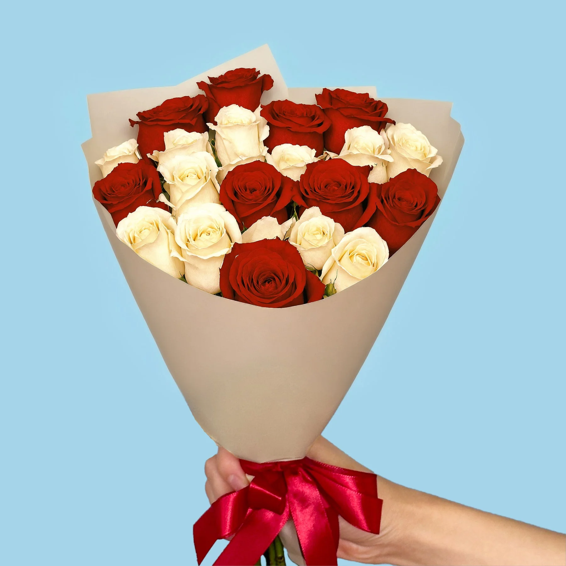 20 White and Red Roses - Image 3