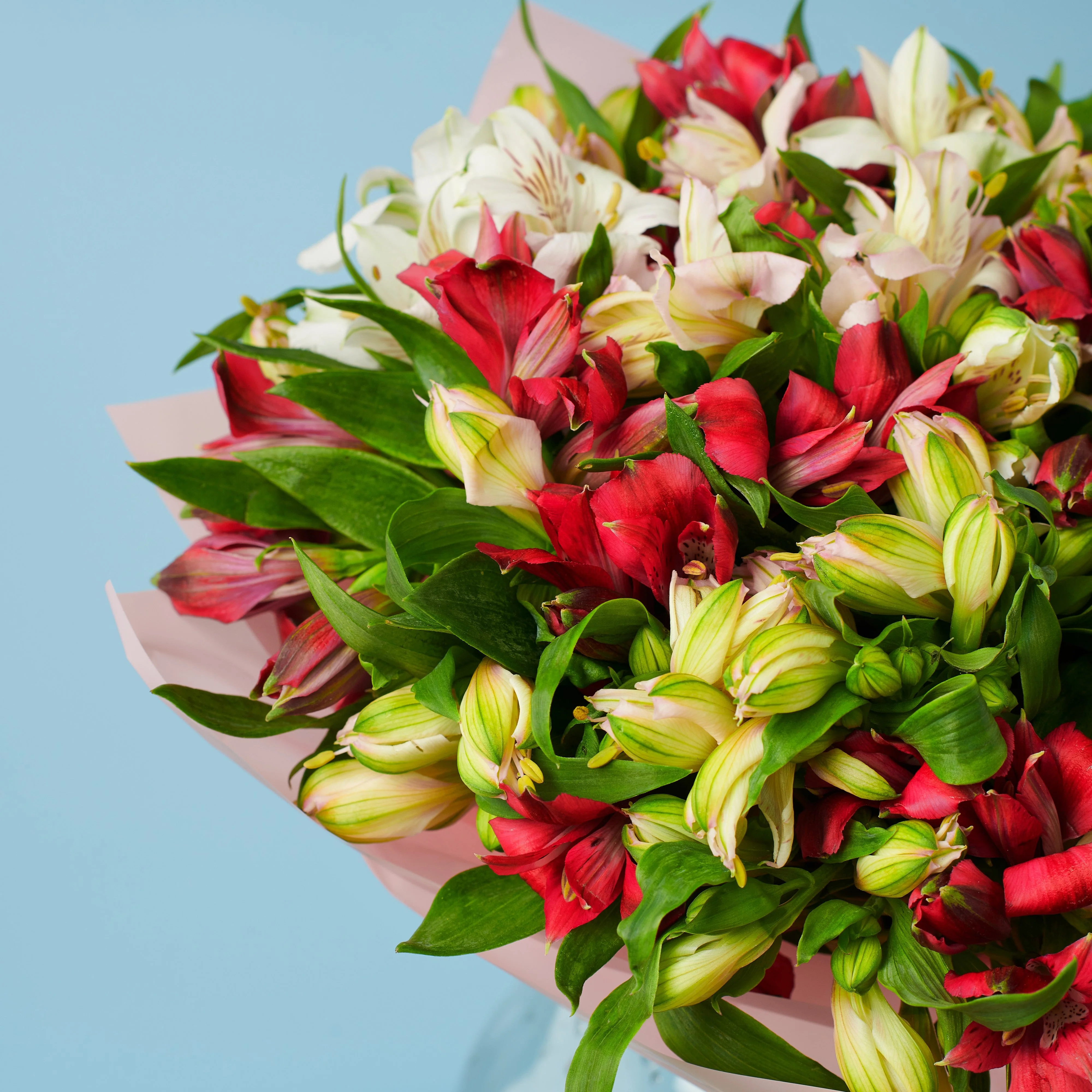 Delight - Image 3