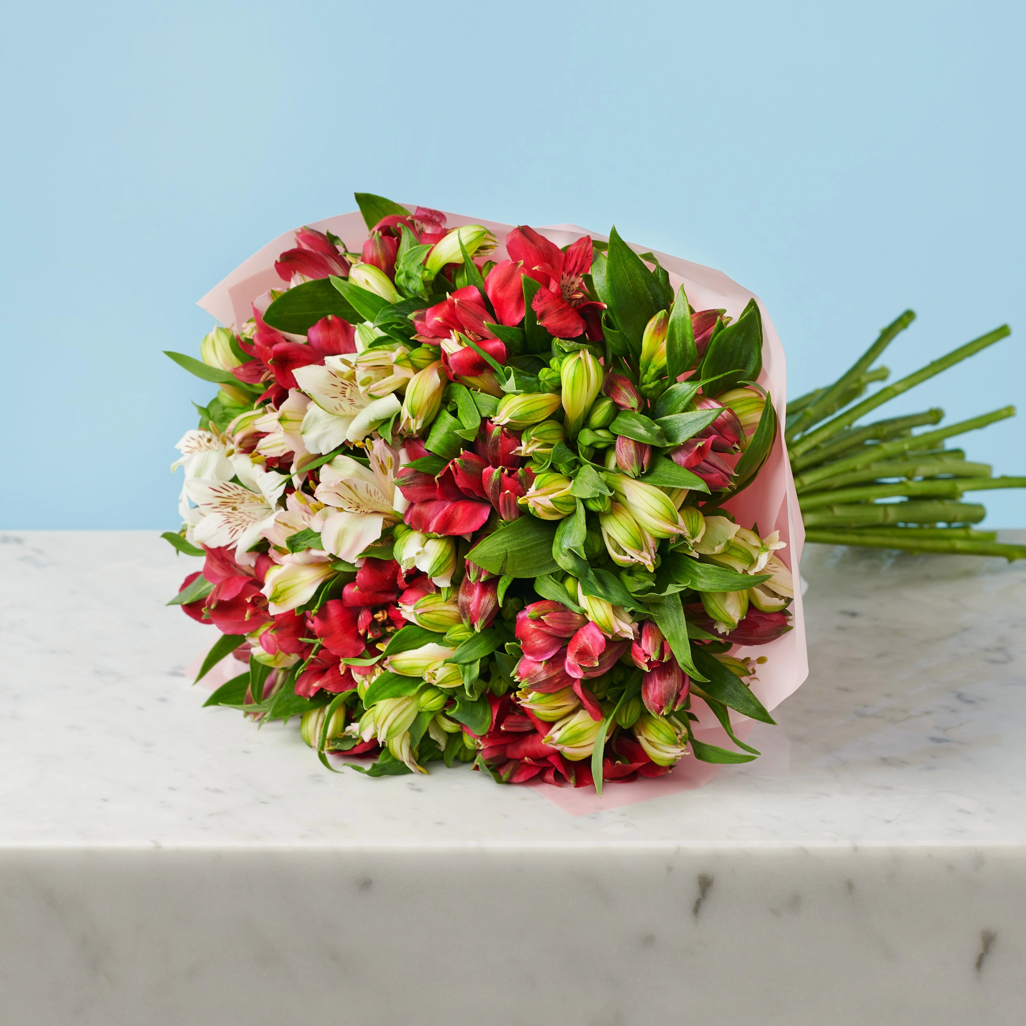 Delight - Image 4