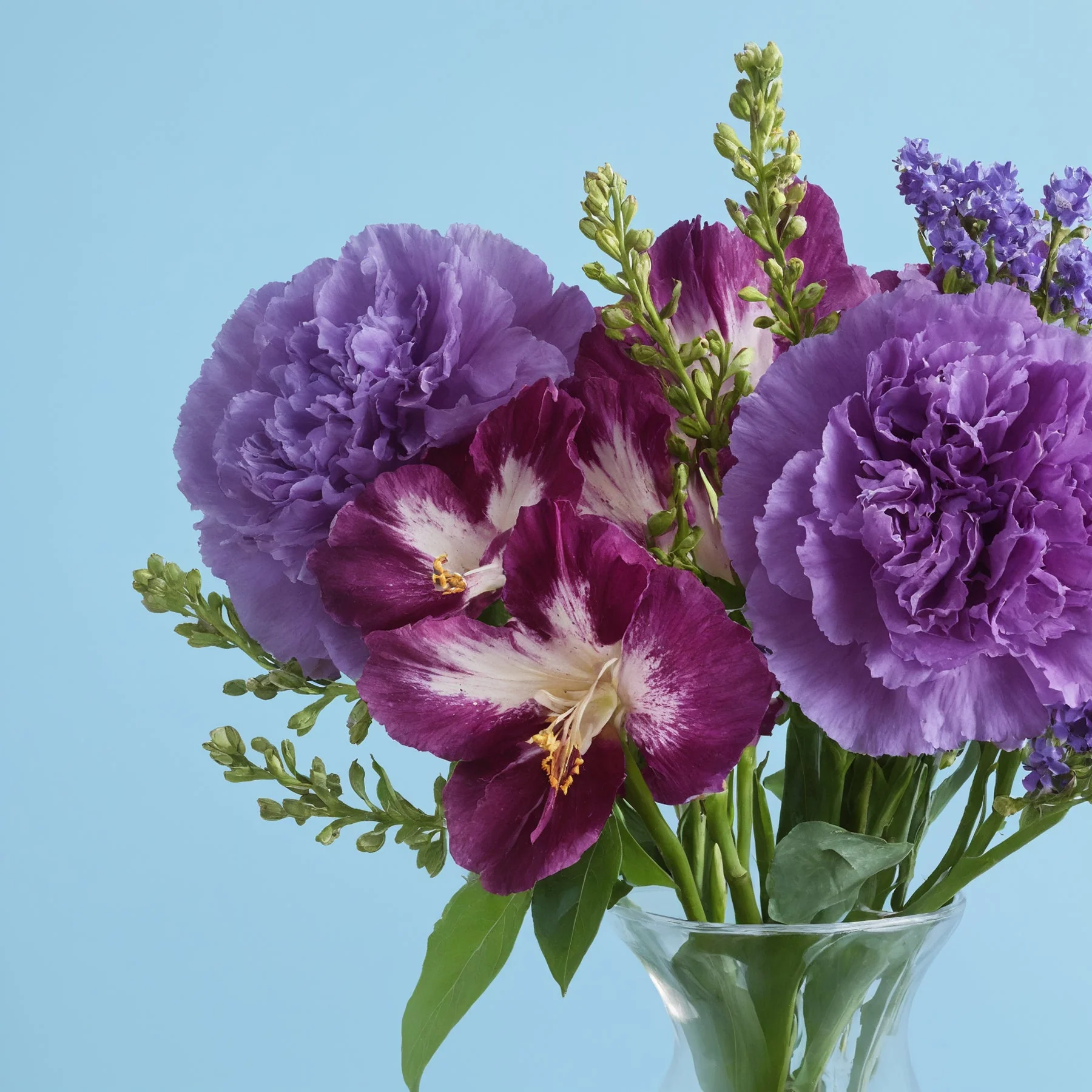 Purple Composition - Image 3