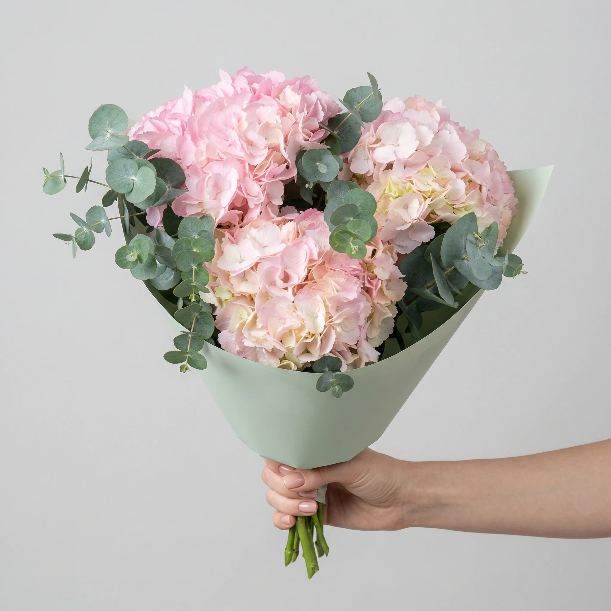 Royal Hydrangea - Image 2