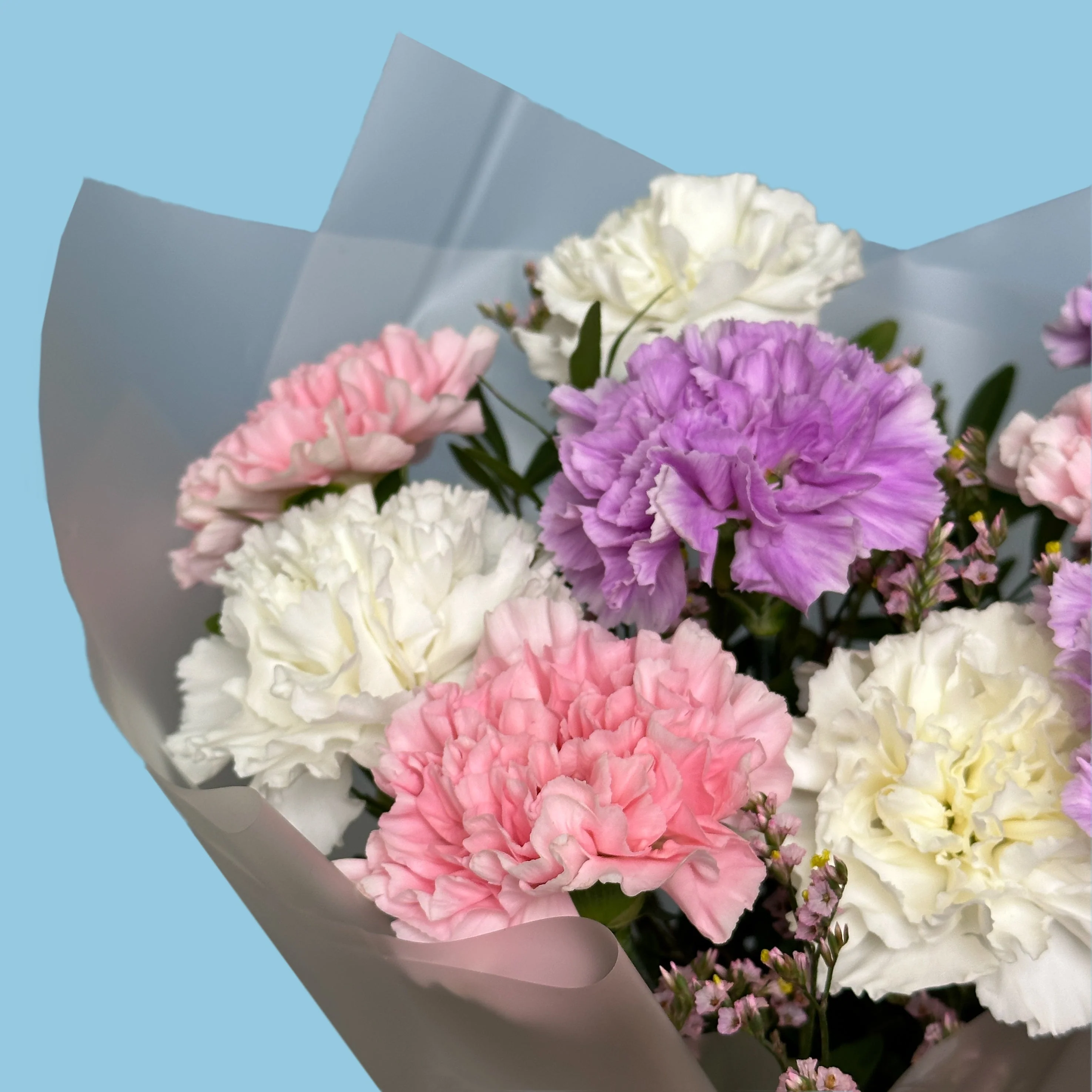 Tender Mixed Carnations - Image 3